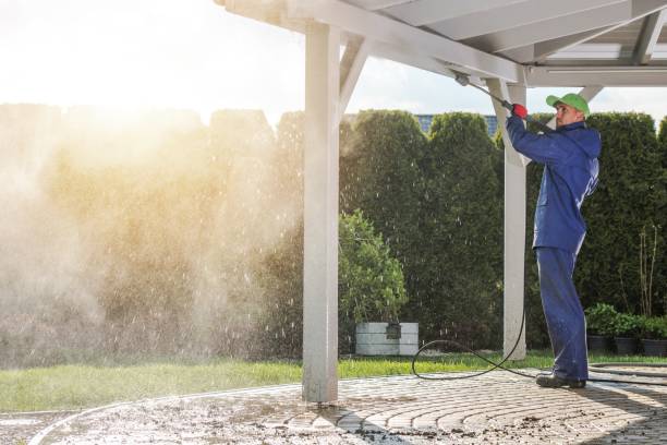 Best Gutter Cleaning  in Citrus Springs, FL